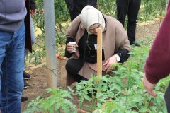 55551988_2238600792874431_3860684143176187904_n