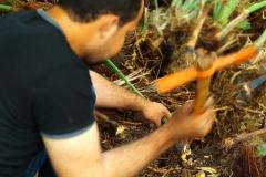 57471865_2282006178533892_8927054860054953984_n