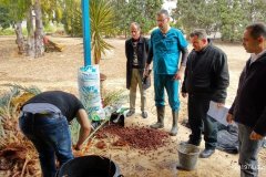 58019536_2282006695200507_5610614477113262080_n