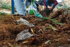 58377855_2282005851867258_1914929091820126208_n