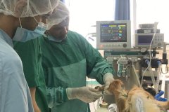 72174376_2309455105830206_5436623990447669248_o.jpg__1170x658_q85_crop_subsampling-2_upscale