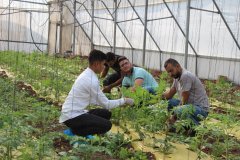 73274740_2607728669294973_5660521382912458752_n