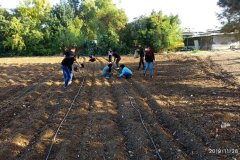 78036460_1311993745653126_3283152208849272832_n.jpg__1170x658_q85_crop_subsampling-2_upscale