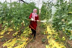 84242788_2847958851938619_5675612862903484416_n