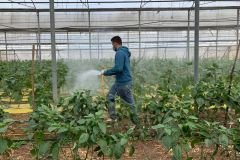 84256408_2847959598605211_4167572583111196672_n