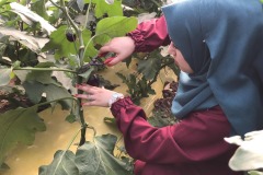 84345791_2835099969891174_4217715626212327424_n