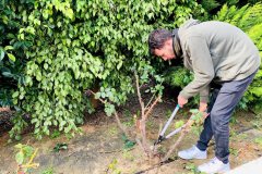 87141724_2880642715336899_82897541737218048_n