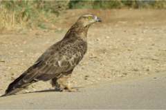 131355457_4118979664836654_3021220705338462089_n