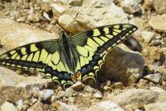 171291607_3934612566606699_1200746442768531281_n