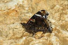 171760972_3934612649940024_8975308104148890379_n