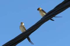 176037980_3969504826450806_112029756869152885_n