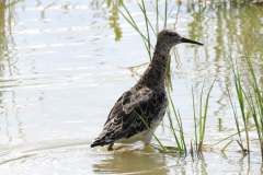 176203139_3969504456450843_8857010741373971671_n