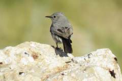 176223324_3969504619784160_1064210911485207807_n