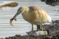 176325573_3969504289784193_3080122824948811697_n