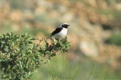 176439544_3969504689784153_2992106942524980596_n