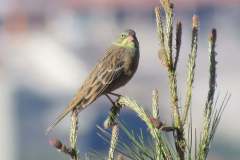 176760850_3969504819784140_4884130306396335927_n