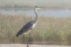 176786998_3969505239784098_7881720639228926855_n