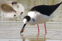 176875829_3969504273117528_3833031646453103786_n