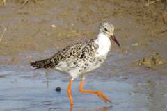 179284614_3987523691315586_6947966440032341045_n