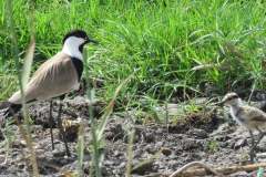 179300071_3987523504648938_2128239153749840029_n