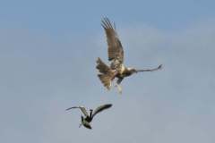 179368603_3987523644648924_2847354036118283949_n