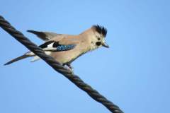 179591874_3987523837982238_2690411871069478889_n