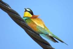 179669859_3987523731315582_6793590678757776607_n