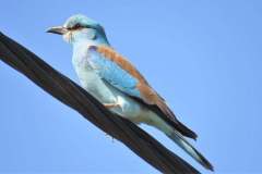 180578695_3993307394070549_5142708775758885008_n