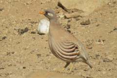 197650504_4118979474836673_7522084477177385170_n