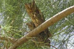 199437285_4118979501503337_977127498716122002_n