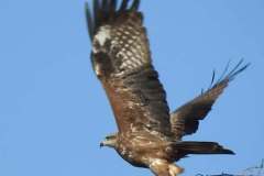 1_475577639_18448951093074024_8501022796710985192_n