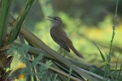 201904291_4134148456653108_6080922878998175909_n