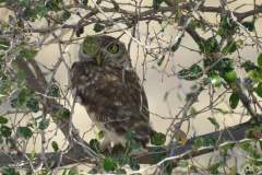 202282832_4134148433319777_5751743808666751683_n