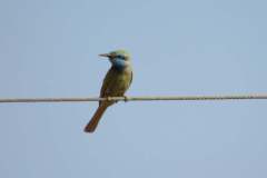 202341570_4134148406653113_6596353545221049095_n