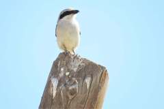 202545401_4134148383319782_3880184149985154350_n