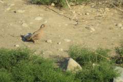 202834423_4134148286653125_7276293421123607106_n