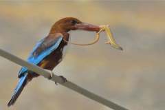 202981311_4134148266653127_1101697420241283269_n