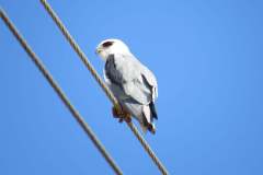 203377156_4134148263319794_8807619753628747697_n