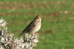 454820232_8098734233527824_9076691355550170879_n