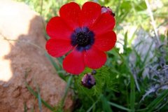 460846533_8380995105301734_2034984847787318736_n