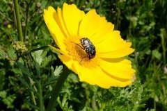 461035233_8380995101968401_1635586008961177728_n