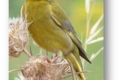 461045525_8380995565301688_6361822270510057160_n