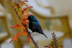 461083282_8380995571968354_7988884633293132350_n