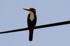 461266938_8398307653570479_215409731689054702_n