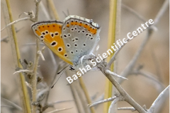 461738809_8490531657681411_4576335691373713971_n