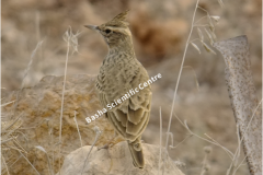 461766104_8490531334348110_944627346237520324_n