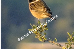 461786938_8490531307681446_1156087137011836955_n