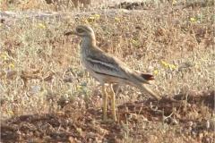 461832894_8488451247889452_898888285891182403_n