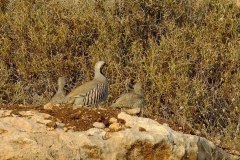 461851664_8472318569502720_5361145475340681572_n