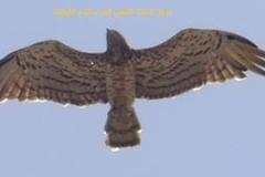 461927667_8488498051218105_1959699764068250435_n